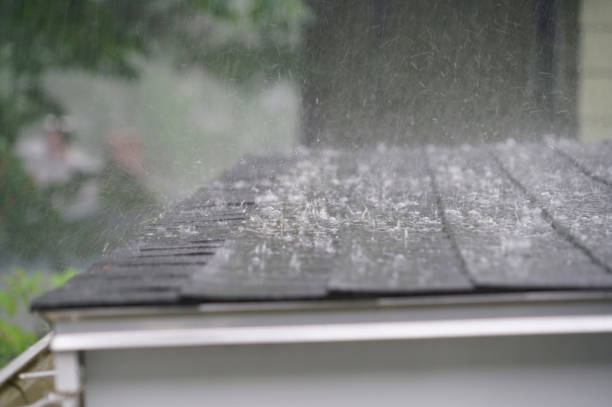 Best Roof Insulation Installation  in Sheboygan, WI